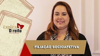 Explica Direito Filiação Socioafetiva  2019 [upl. by Bethena787]