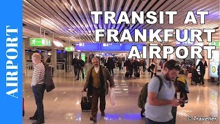 TRANSIT WALK AT FRANKFURT Airport FRA Terminal 1  Connection Flight Transfer Arriving amp Departing [upl. by Cioban]